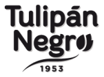 Tulipán Negro para homem