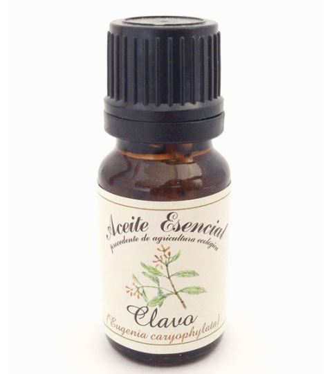 Óleo essencial de cravo 10 ml Óleo essencial de cravo 10 ml