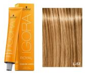 Coloração Igora Royal Fashion 60 ml Coloração Igora Royal Fashion 60 ml