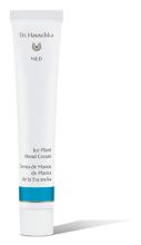 Creme para as Mãos Frost Plant 50 ml Creme para as Mãos Frost Plant 50 ml