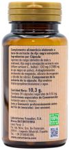 Alho Preto 20 cápsulas vegetais Alho Preto 20 cápsulas vegetais
