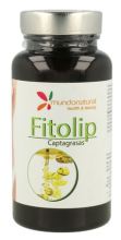 Phytolip 60 Cápsulas Phytolip 60 Cápsulas