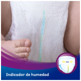 Atividade T-4 Extra 52 Unidades Atividade T-4 Extra 52 Unidades