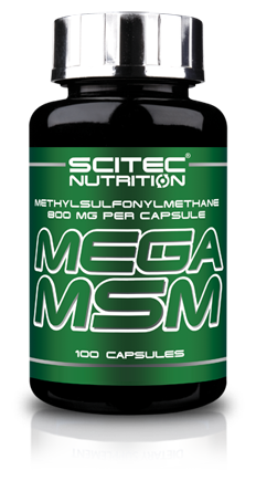 Mega Msm 100 Capsules Mega Msm 100 Capsules