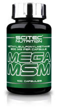 Mega Msm 100 Capsules Mega Msm 100 Capsules