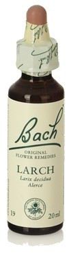 Fb Larch 20ml. (Florais de Bach) Fb Larch 20ml. (Florais de Bach)