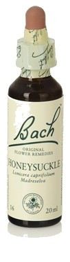 Bach 16 Honeysuckle 20 ml Bach 16 Honeysuckle 20 ml