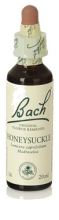 Bach 16 Honeysuckle 20 ml Bach 16 Honeysuckle 20 ml