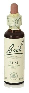 Fb Elm 20ml. (Florais de Bach) Fb Elm 20ml. (Florais de Bach)