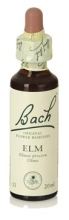 Fb Elm 20ml. (Florais de Bach) Fb Elm 20ml. (Florais de Bach)