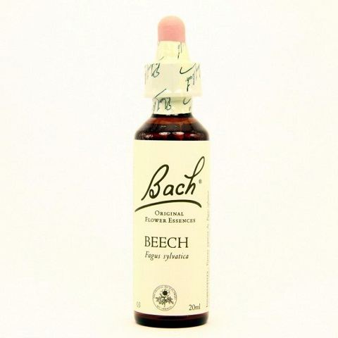 Beech Fb 20ml. (Florais de Bach) Beech Fb 20ml. (Florais de Bach)