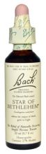 Bach galinha 29 Leite 20 Ml Bach galinha 29 Leite 20 Ml