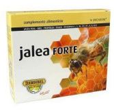 Jelly Forte 16 ampolas x 10 ml Jelly Forte 16 ampolas x 10 ml