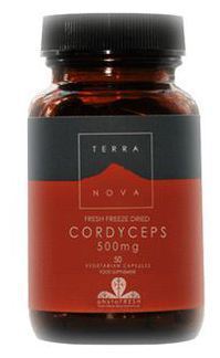 Cordyceps 500mg. 50Vcap. Cordyceps 500mg. 50Vcap.