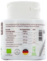 Reishi (Ganoderma Lucidum) 60 Cápsulas Reishi (Ganoderma Lucidum) 60 Cápsulas
