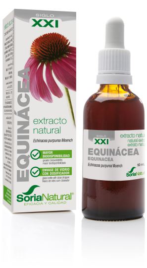 Extrato de Echinacea Extrato de Echinacea