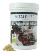 Del Sol Cogumelo (Agaricus Blazei) Bio 60cap. Del Sol Cogumelo (Agaricus Blazei) Bio 60cap.