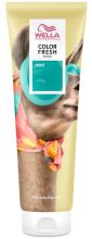 Máscara Color Fresh Temporary 150 ml Máscara Color Fresh Temporary 150 ml