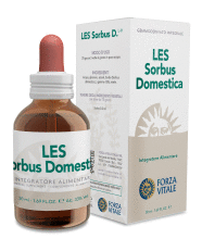Les Rowan Sorbus Domestica 50ml. Les Rowan Sorbus Domestica 50ml.